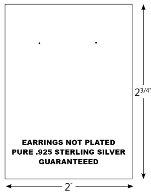 Hooped Earings  | Sterling Silver Earrings